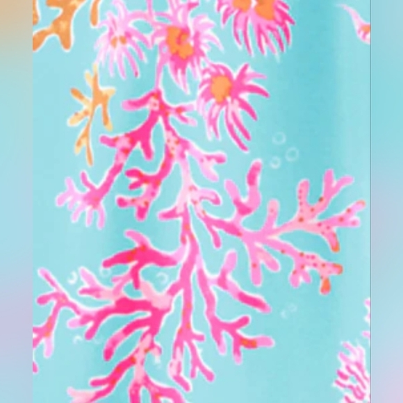 NWT Lilly Pulitzer Bray Dress UPF 50+ Royal Coral Print 🌸 Size Small - Picture 3 of 6